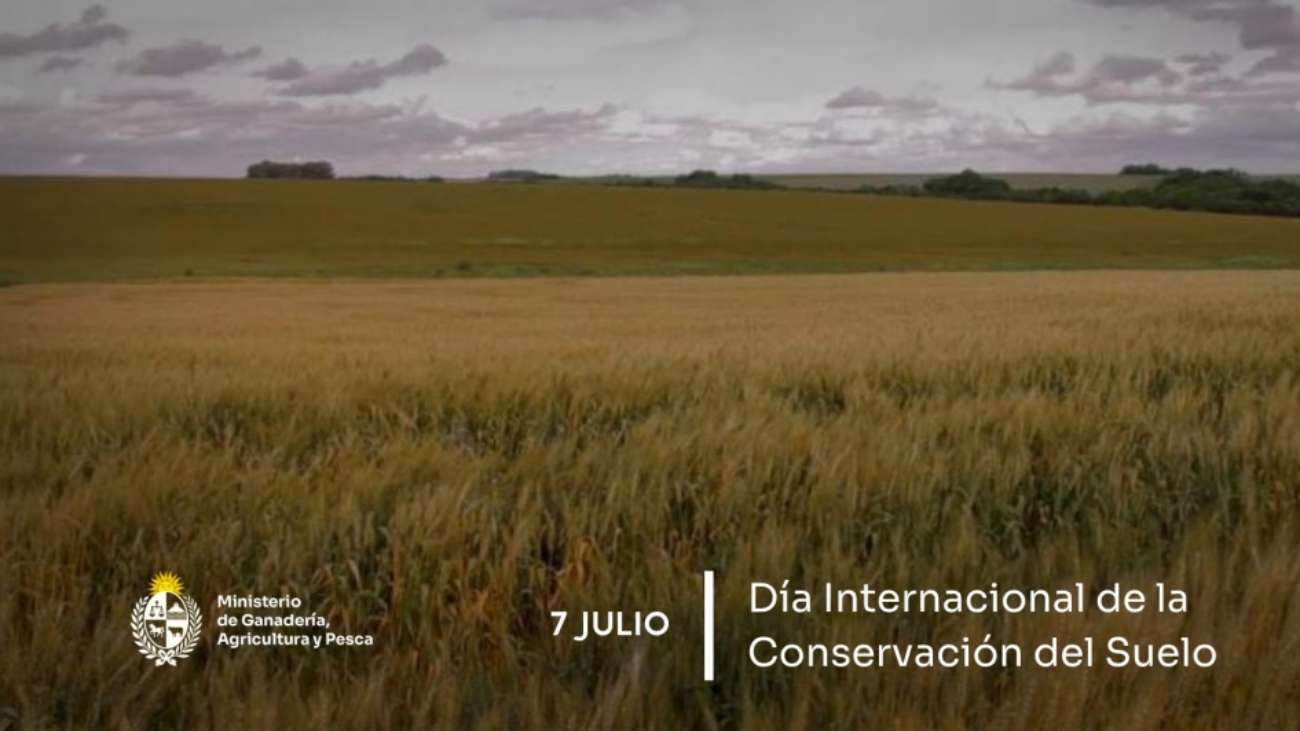 slide18